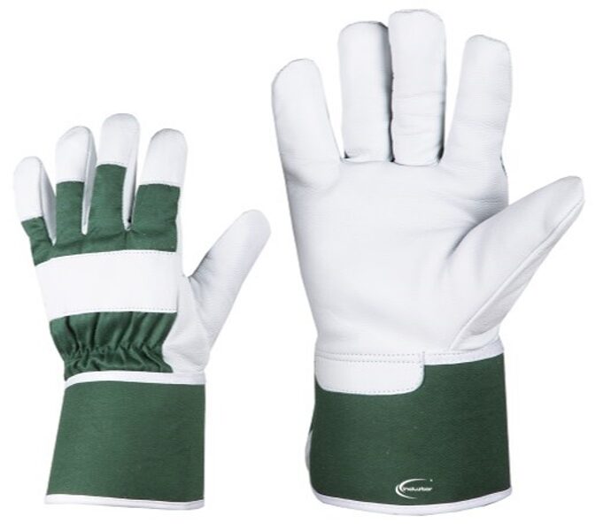 Leather gloves (smooth pigskin/material) with fur lining